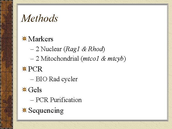 Methods Markers – 2 Nuclear (Rag 1 & Rhod) – 2 Mitochondrial (mtco 1