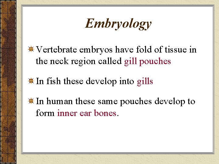 Embryology Vertebrate embryos have fold of tissue in the neck region called gill pouches