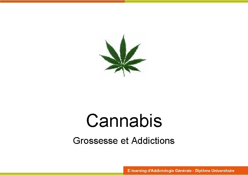 Cannabis Grossesse et Addictions 