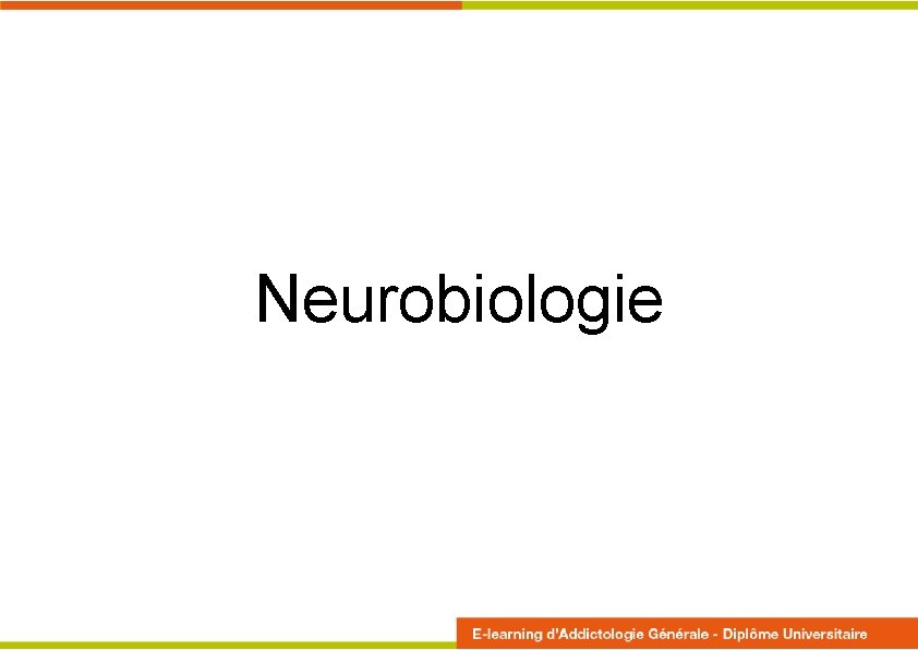 Neurobiologie 