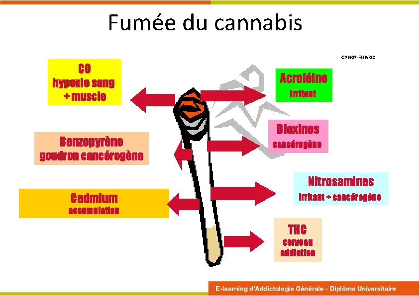 Fumée du cannabis CAN 07 -FUM 02 CO hypoxie sang + muscle Benzopyrène goudron