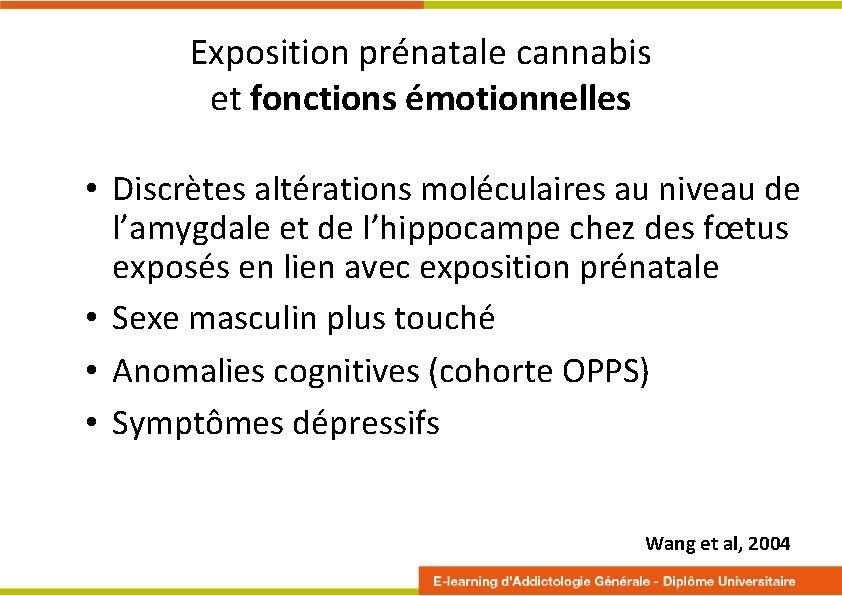 Exposition prénatale cannabis et fonctions émotionnelles • Discrètes altérations moléculaires au niveau de l’amygdale