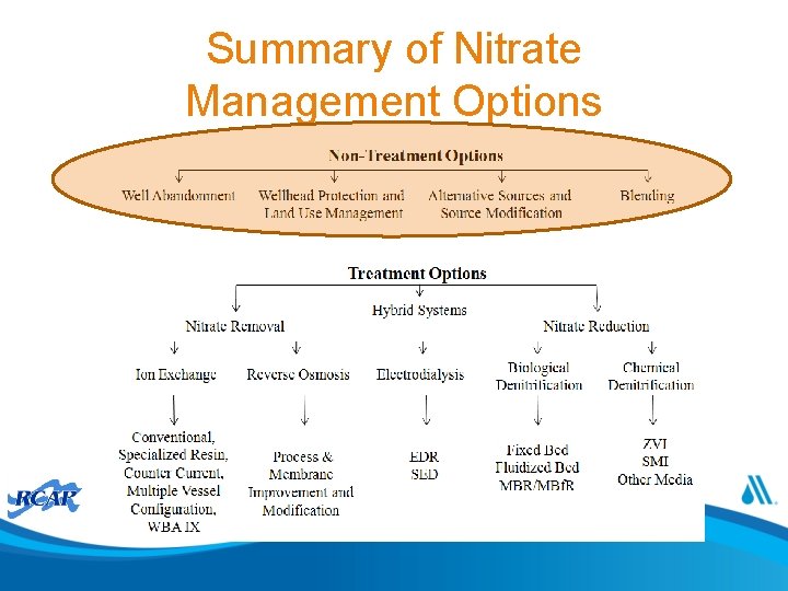 Summary of Nitrate Management Options 