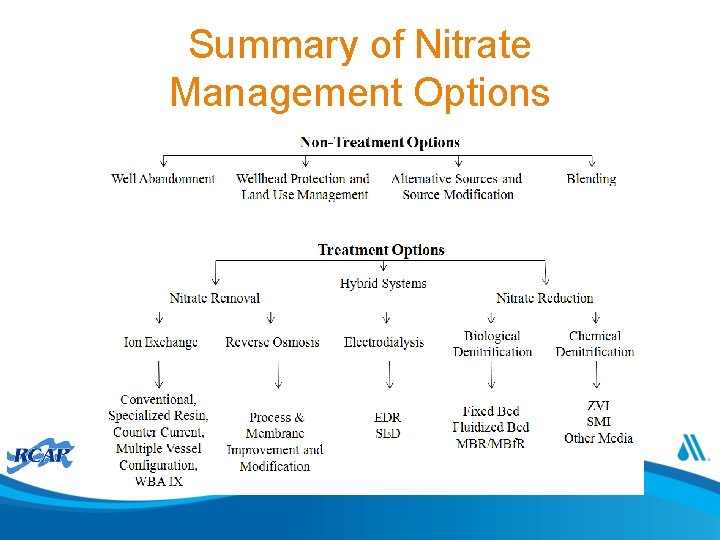 Summary of Nitrate Management Options 