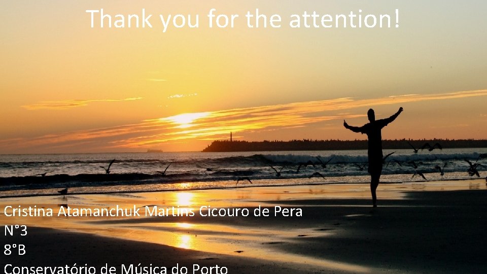 Thank you for the attention! Cristina Atamanchuk Martins Cicouro de Pera N° 3 8°B