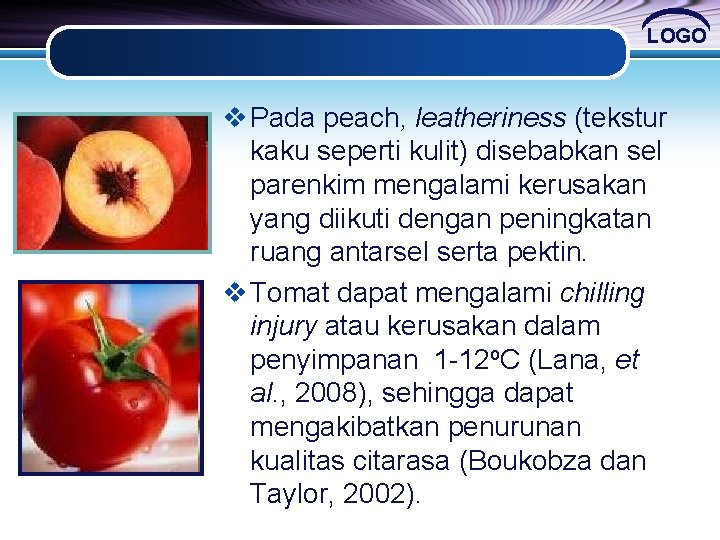 LOGO v Pada peach, leatheriness (tekstur kaku seperti kulit) disebabkan sel parenkim mengalami kerusakan LOGO v Pada peach, leatheriness (tekstur kaku seperti kulit) disebabkan sel parenkim mengalami kerusakan