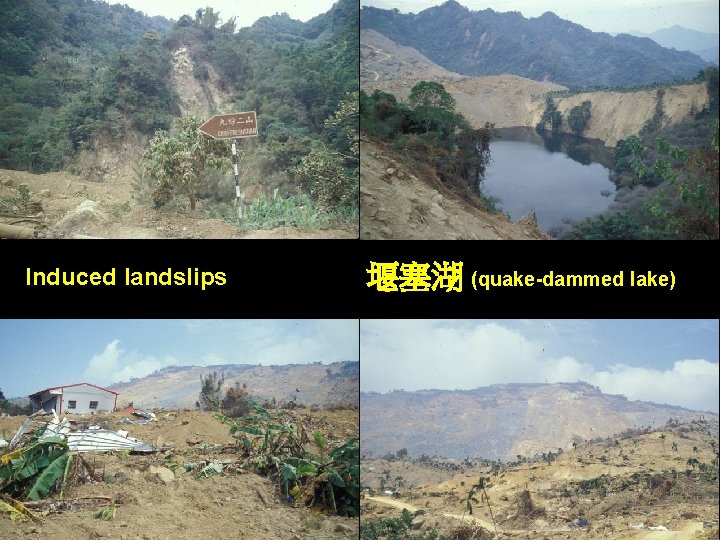 Induced landslips 堰塞湖 (quake-dammed lake) Induced landslips 堰塞湖 (quake-dammed lake)
