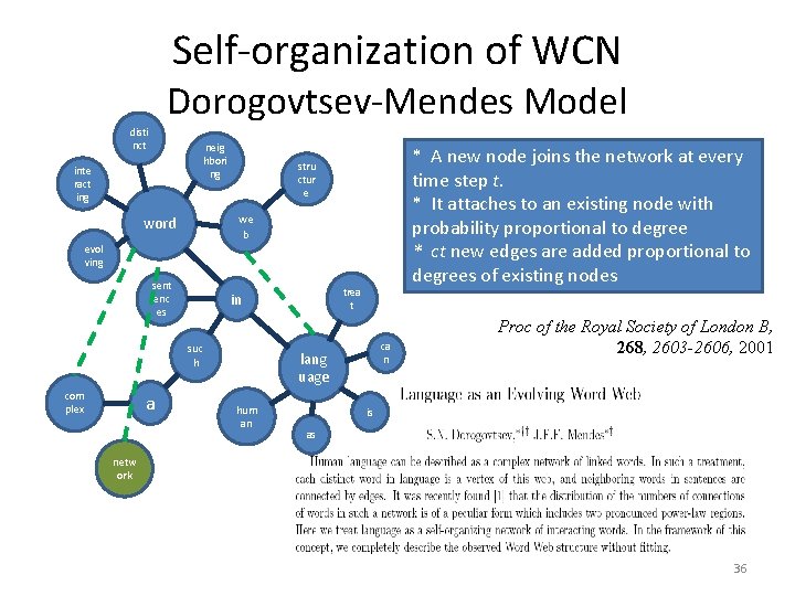 Self-organization of WCN Dorogovtsev-Mendes Model disti nct neig hbori ng inte ract ing *