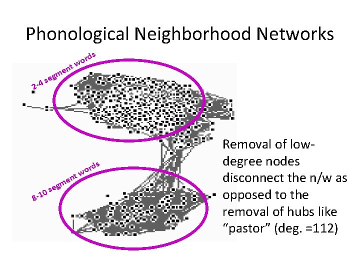 Phonological Neighborhood Networks nt e m rds o w eg s 2 -4 0