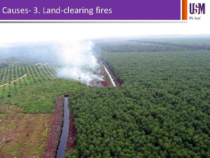 Causes- 3. Land-clearing fires We lead 