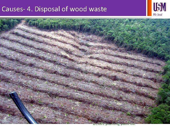 Causes- 4. Disposal of wood waste • We lead Palm oil company builds windrows