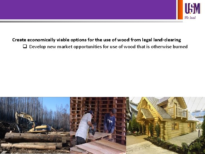 We lead Create economically viable options for the use of wood from legal land-clearing