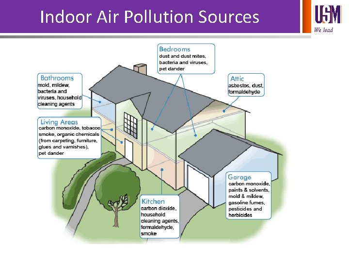 Indoor Air Pollution Sources We lead 