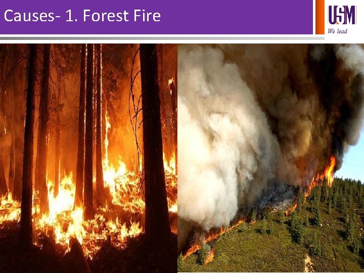 Causes- 1. Forest Fire We lead 