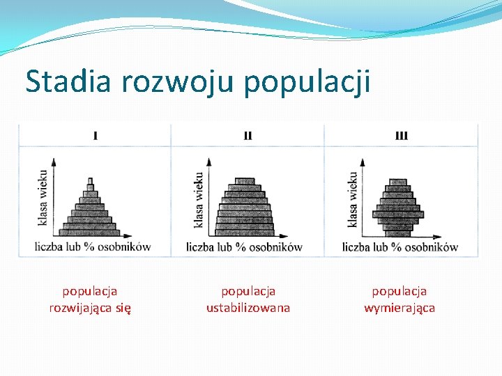 Stadia rozwoju populacji populacja rozwijająca się populacja ustabilizowana populacja wymierająca 