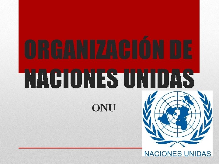 ORGANIZACIÓN DE NACIONES UNIDAS ONU 