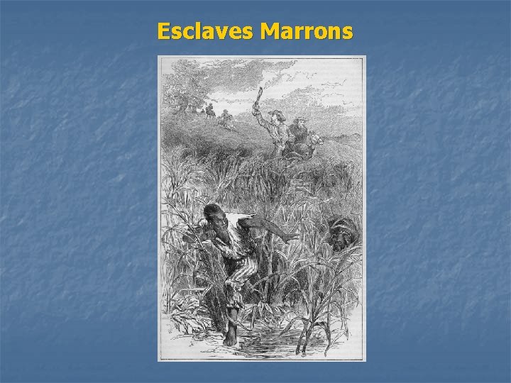 Esclaves Marrons 