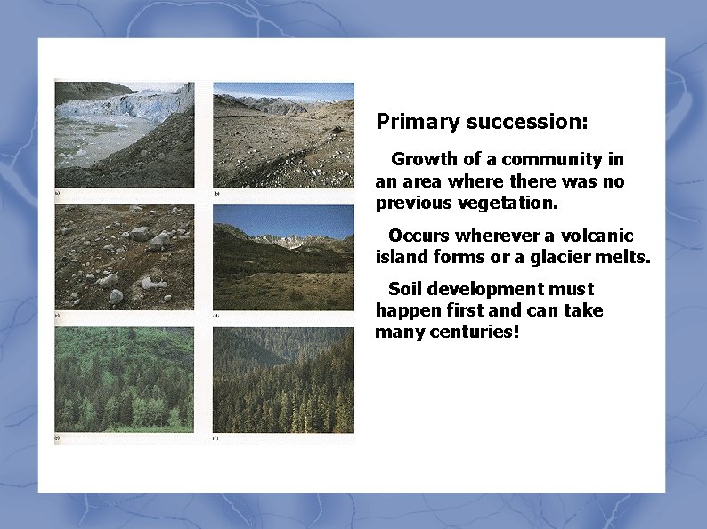 Primary succession: • Growth of a community in an area where there was no