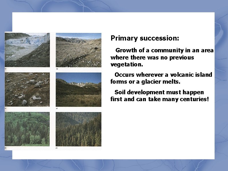 Primary succession: • Growth of a community in an area where there was no