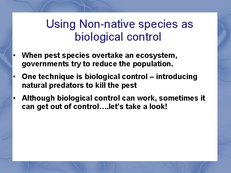 Using Non-native species as biological control • When pest species overtake an ecosystem, governments