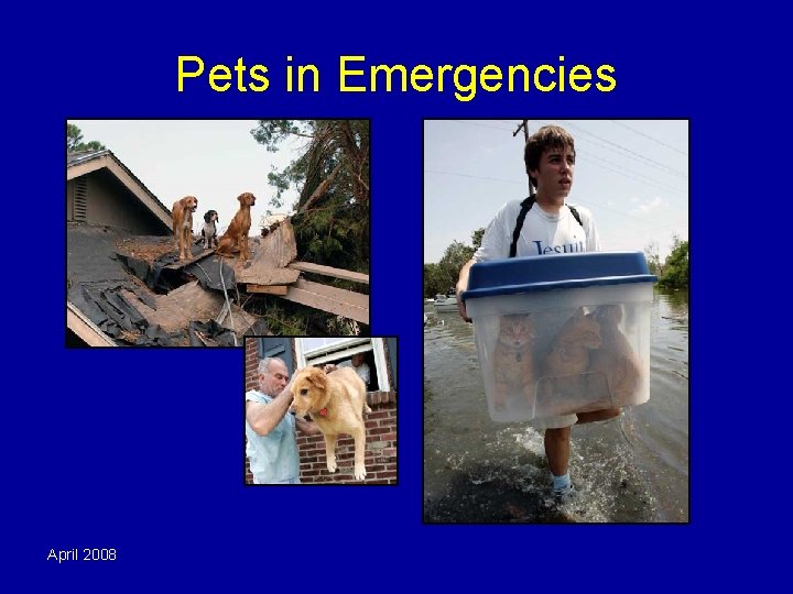 Pets in Emergencies April 2008 