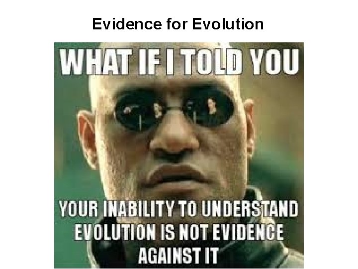 Evidence for Evolution 