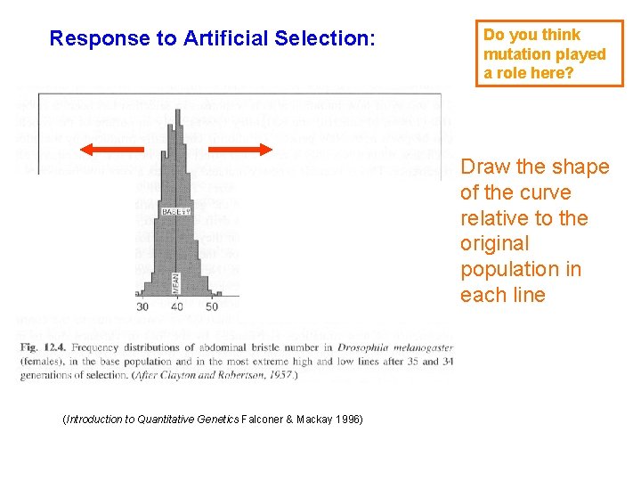 Response to Artificial Selection: Do you think mutation played a role here? Draw the