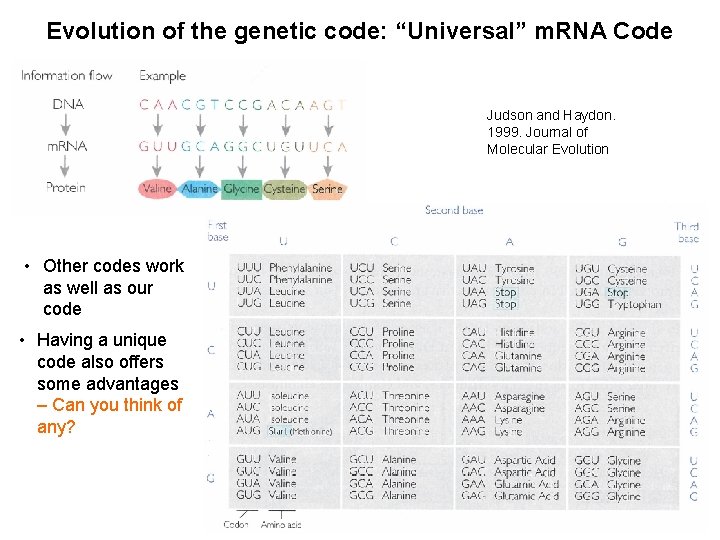 Evolution of the genetic code: “Universal” m. RNA Code Judson and Haydon. 1999. Journal
