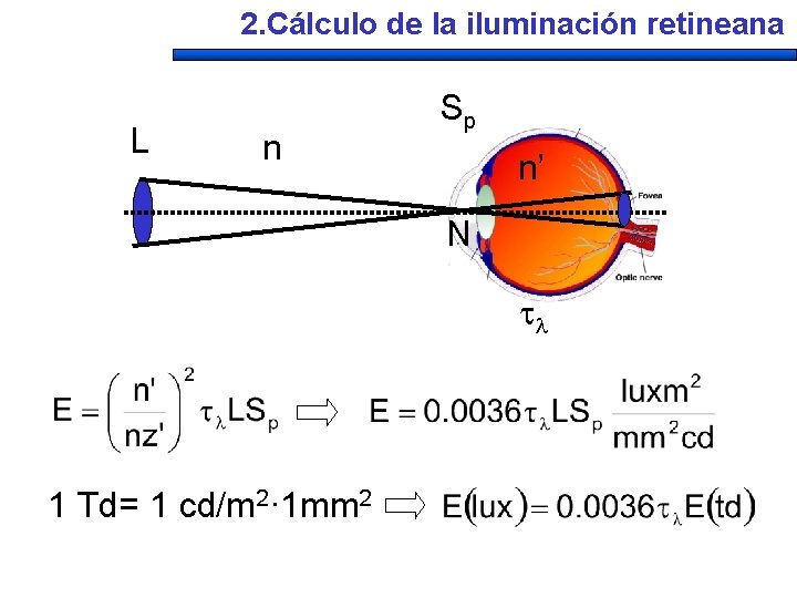 2. Cálculo de la iluminación retineana L n Sp n’ N 1 Td= 1