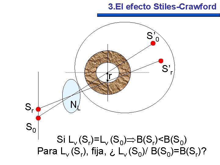 3. El efecto Stiles-Crawford S’ 0 r Sr S 0 S’r NL Si Lv