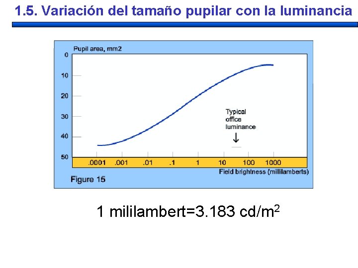 1. 5. Variación del tamaño pupilar con la luminancia 1 mililambert=3. 183 cd/m 2