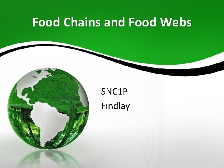 Food Chains and Food Webs SNC 1 P Findlay 