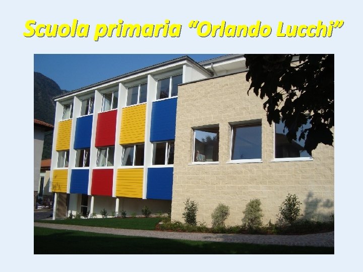 Scuola primaria “Orlando Lucchi” 