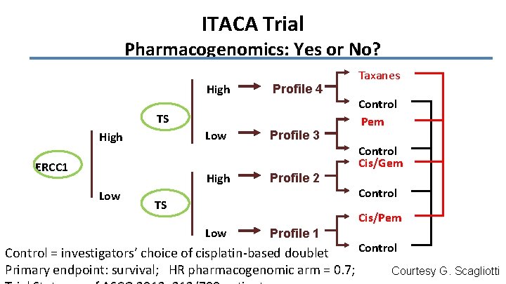 ITACA Trial Pharmacogenomics: Yes or No? High Profile 4 Low Profile 3 TS High