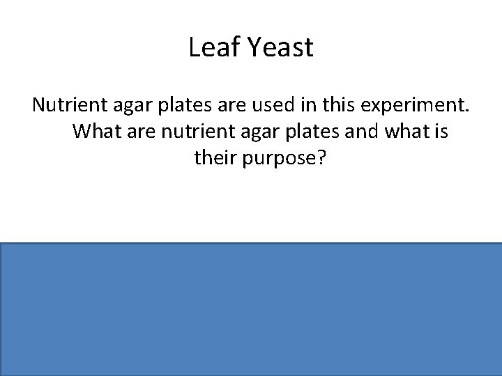 Leaf Yeast Nutrient agar plates are used in this experiment. What are nutrient agar