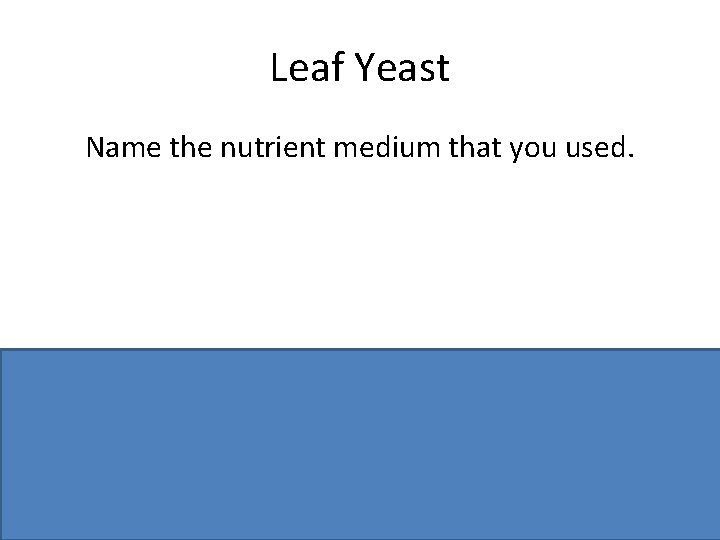 Leaf Yeast Name the nutrient medium that you used. Malt agar 