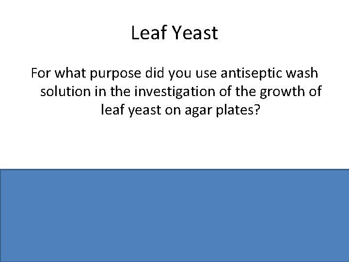 Leaf Yeast For what purpose did you use antiseptic wash solution in the investigation