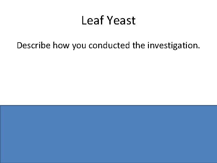 Leaf Yeast Describe how you conducted the investigation. cut leaves / attach to lid