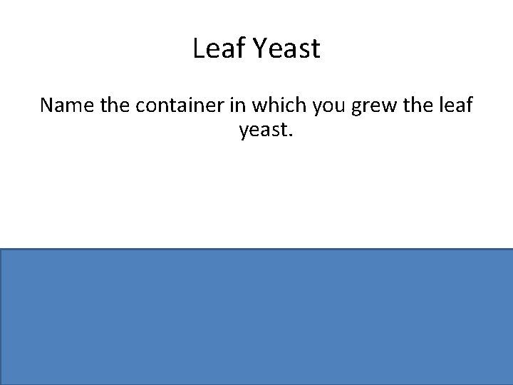 Leaf Yeast Name the container in which you grew the leaf yeast. Petri dish