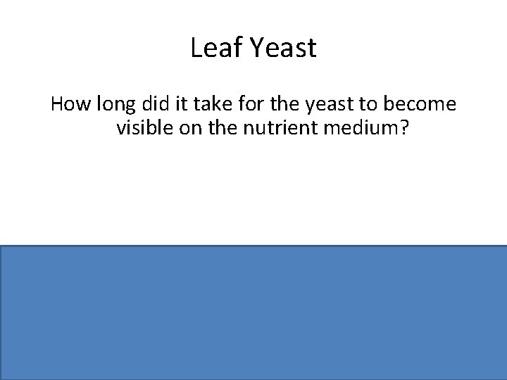 Leaf Yeast How long did it take for the yeast to become visible on