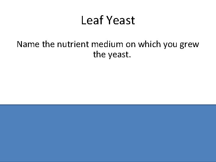 Leaf Yeast Name the nutrient medium on which you grew the yeast. Malt agar