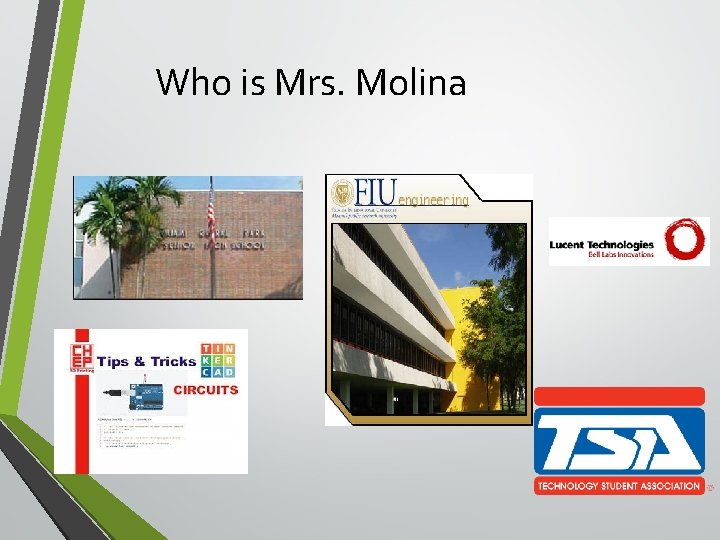 Who is Mrs. Molina 