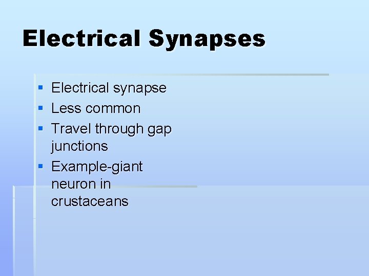 Electrical Synapses § Electrical synapse § Less common § Travel through gap junctions §