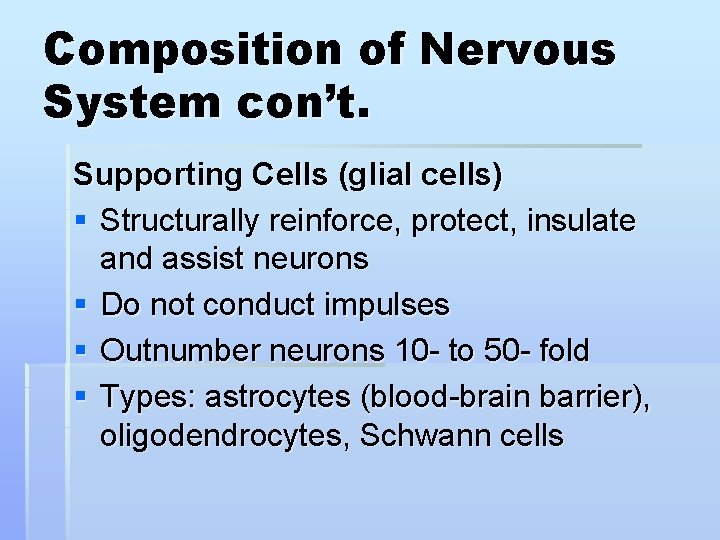 Composition of Nervous System con’t. Supporting Cells (glial cells) § Structurally reinforce, protect, insulate