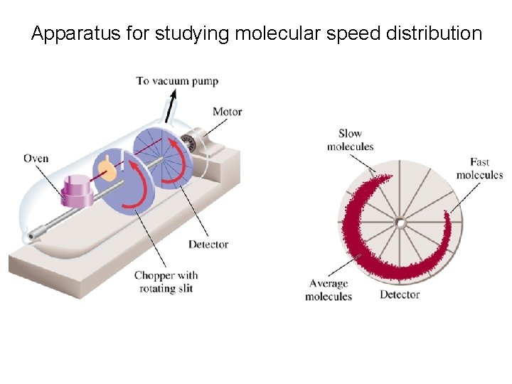 Apparatus for studying molecular speed distribution 