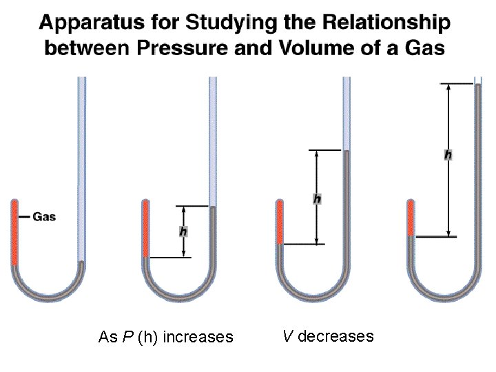 As P (h) increases V decreases 