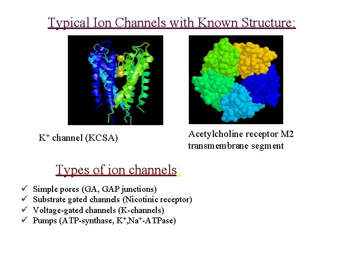 Typical Ion Channels with Known Structure: K+ channel (KCSA) Acetylcholine receptor M 2 transmembrane