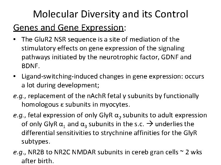 Molecular Diversity and its Control Genes and Gene Expression: • The Glu. R 2