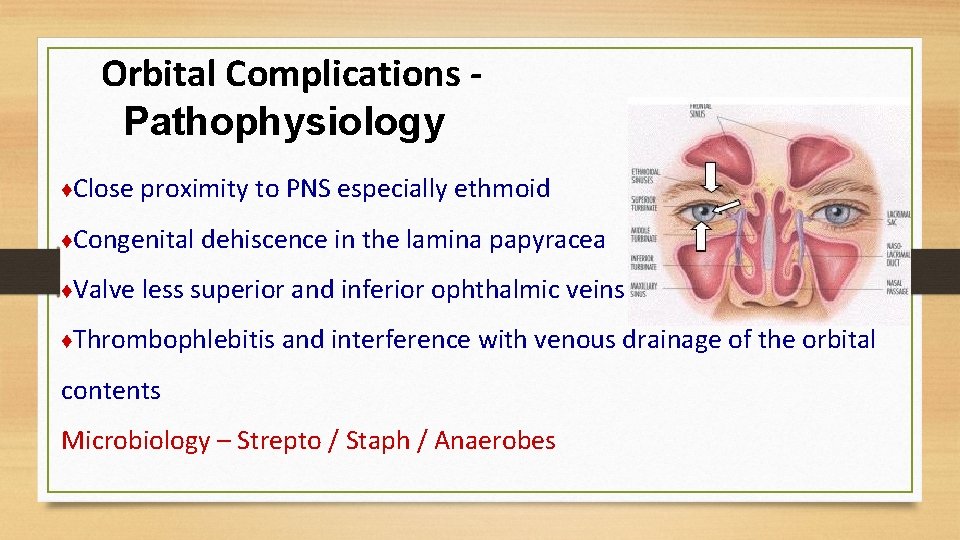 Orbital Complications Pathophysiology ♦Close proximity to PNS especially ethmoid ♦Congenital dehiscence in the lamina