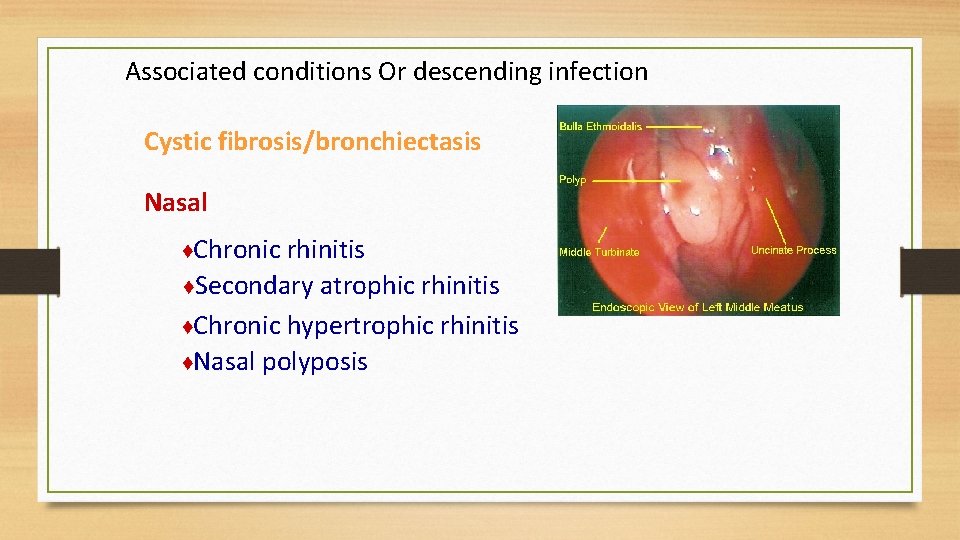 Associated conditions Or descending infection Cystic fibrosis/bronchiectasis Nasal ♦Chronic rhinitis ♦Secondary atrophic rhinitis ♦Chronic